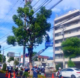 ガーデナーナカニシ株式会社