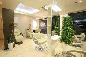Salon de aim