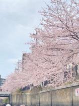 主催クルーズ③
