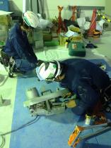 プラント工場での作業風景です。2