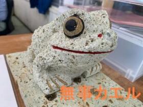 無事カエル