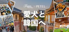 愛犬と行く韓国旅を演出