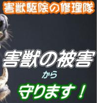 修理隊