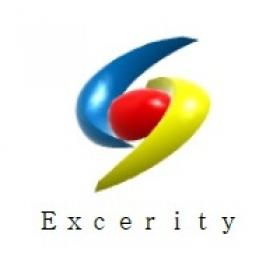 株式会社Excerity