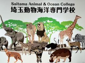 学校法人成和学園