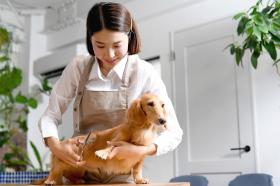 楽しくお仕事しませんか♪