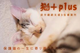 株式会社つのじ屋