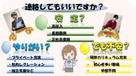 株式会社STeLA