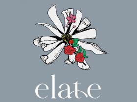 株式会社 elate
