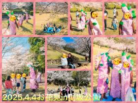 垂坂公園にお花見に行きました
